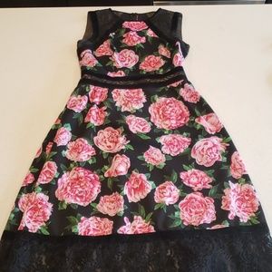 Tadashi Shoji Midi Length Dress